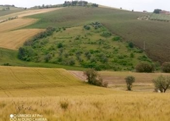 IMG_20230530_114953_133 (Copia).jpg - Terreno agricolo LOCALITA' CATOSCIO, Castel Frentano - foto 1