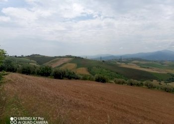 IMG_20230530_114606_615 (Copia).jpg - Terreno agricolo LOCALITA' CATOSCIO, Castel Frentano - foto 2