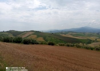 IMG_20230530_114608_030 (Copia).jpg - Terreno agricolo LOCALITA' CATOSCIO, Castel Frentano - foto 3
