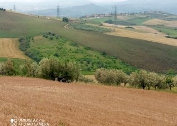 IMG_20230530_114632_581 (Copia).jpg - Terreno agricolo LOCALITA' CATOSCIO, Castel Frentano - foto 7