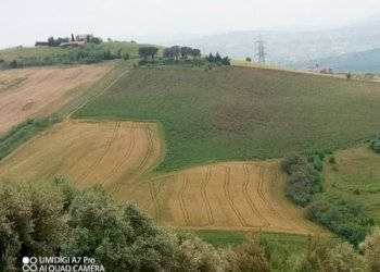 IMG_20230530_114700_451 (Copia).jpg - Terreno agricolo LOCALITA' CATOSCIO, Castel Frentano - foto 8