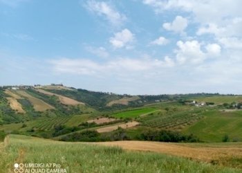 IMG_20230530_115430_820 (Copia).jpg - Terreno agricolo LOCALITA' CATOSCIO, Castel Frentano - foto 12