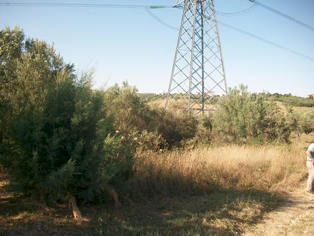 100_2180 (Copia).JPG - Terreno agricolo C.DA RIZZACORNO, Lanciano - foto 3