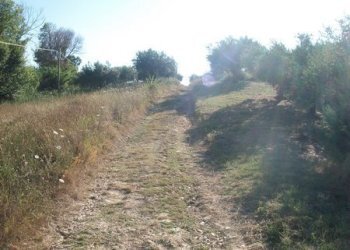 100_2178 (Copia).JPG - Terreno agricolo C.DA RIZZACORNO, Lanciano - foto 1