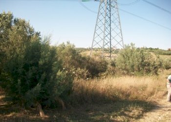 100_2180 (Copia).JPG - Terreno agricolo C.DA RIZZACORNO, Lanciano - foto 3