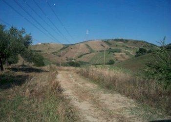 100_2185 (Copia).JPG - Terreno agricolo C.DA RIZZACORNO, Lanciano - foto 8