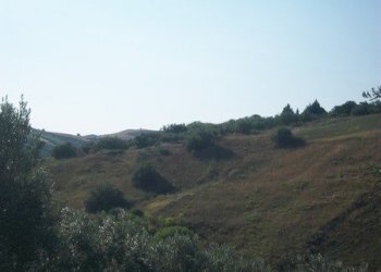 100_2192 (Copia).JPG - Terreno agricolo C.DA RIZZACORNO, Lanciano - foto 15