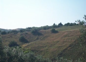 100_2193 (Copia).JPG - Terreno agricolo C.DA RIZZACORNO, Lanciano - foto 16