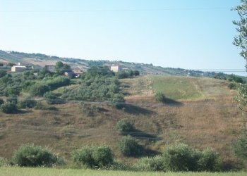 100_2194 (Copia).JPG - Terreno agricolo C.DA RIZZACORNO, Lanciano - foto 17