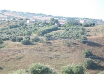 100_2197 (Copia).JPG - Terreno agricolo C.DA RIZZACORNO, Lanciano - foto 20