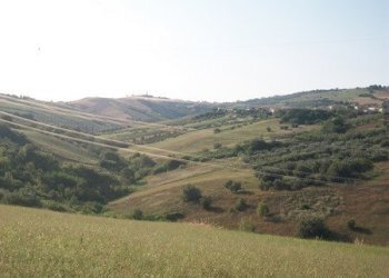 100_2199 (Copia).JPG - Terreno agricolo C.DA RIZZACORNO, Lanciano - foto 22