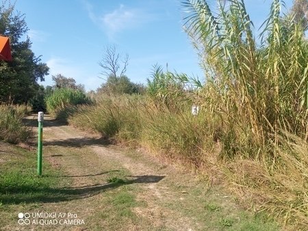 IMG_20231013_113111_627 (Copia).jpg - Terreno agricolo LOCALITA' SALETTI, Atessa - foto 2