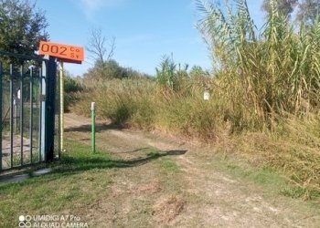 IMG_20231013_113108_302 (Copia).jpg - Terreno agricolo LOCALITA' SALETTI, Atessa - foto 1