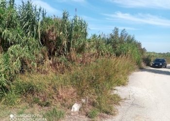 IMG_20231013_113135_135 (Copia).jpg - Terreno agricolo LOCALITA' SALETTI, Atessa - foto 6