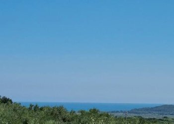 IMG-20230822-WA0007 (Copia).jpg - Terreno agricolo Santa Maria Imbaro - foto 1