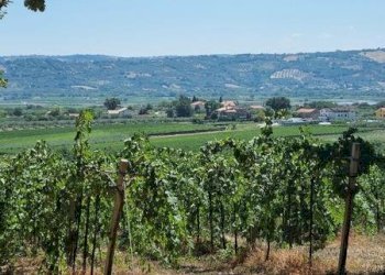 IMG-20230822-WA0005 (Copia).jpg - Terreno agricolo Santa Maria Imbaro - foto 6