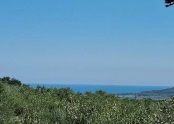 IMG-20230822-WA0006 (Copia).jpg - Terreno agricolo Santa Maria Imbaro - foto 7