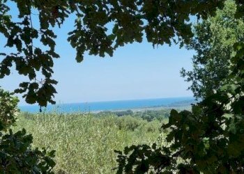 IMG-20230822-WA0010 (Copia).jpg - Terreno agricolo Santa Maria Imbaro - foto 10