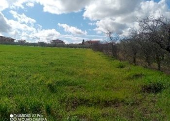 IMG_20230301_111551_801 (Copia).jpg - Terreno agricolo Fossacesia - foto 1