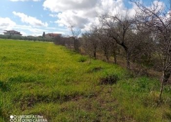 IMG_20230301_111553_431 (Copia).jpg - Terreno agricolo Fossacesia - foto 2