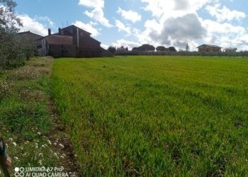 IMG_20230301_111612_233 (Copia).jpg - Terreno agricolo Fossacesia - foto 5