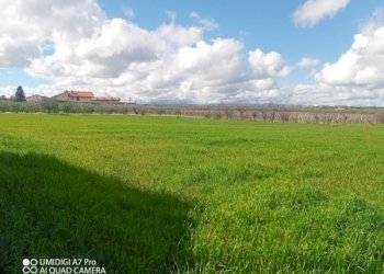 IMG_20230301_111757_952 (Copia).jpg - Terreno agricolo Fossacesia - foto 8