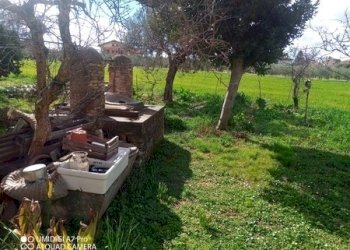 IMG_20230301_111937_680 (Copia).jpg - Terreno agricolo Fossacesia - foto 12