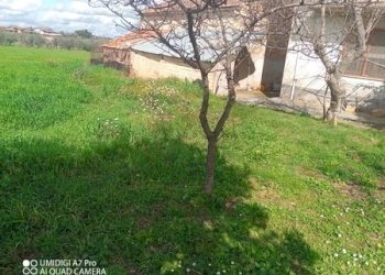 IMG_20230301_111953_086 (Copia).jpg - Terreno agricolo Fossacesia - foto 13