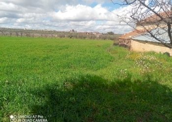 IMG_20230301_111955_280 (Copia).jpg - Terreno agricolo Fossacesia - foto 14