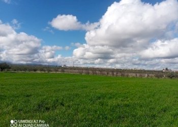 IMG_20230301_112057_947 (Copia).jpg - Terreno agricolo Fossacesia - foto 15