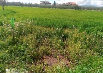 IMG_20230301_112240_557 (Copia).jpg - Terreno agricolo Fossacesia - foto 17