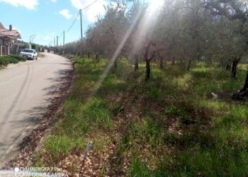 IMG_20230301_112609_420 (Copia).jpg - Terreno agricolo Fossacesia - foto 20