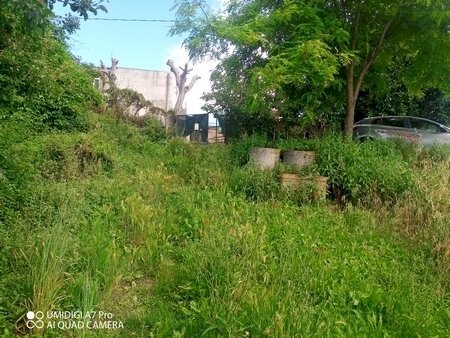 IMG_20230612_165830_824 (Copia).jpg - Terreno agricolo CONTRADA MARCIANESE, Lanciano - foto 2