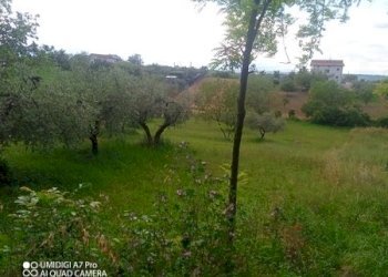 IMG_20230612_170029_585 (Copia).jpg - Terreno agricolo CONTRADA MARCIANESE, Lanciano - foto 1