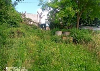 IMG_20230612_165830_824 (Copia).jpg - Terreno agricolo CONTRADA MARCIANESE, Lanciano - foto 2