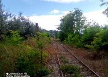 IMG_20230612_170013_406 (Copia).jpg - Terreno agricolo CONTRADA MARCIANESE, Lanciano - foto 6