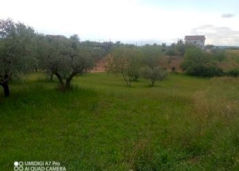 IMG_20230612_170041_418 (Copia).jpg - Terreno agricolo CONTRADA MARCIANESE, Lanciano - foto 8