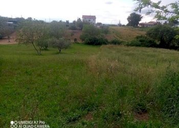 IMG_20230612_170102_157 (Copia).jpg - Terreno agricolo CONTRADA MARCIANESE, Lanciano - foto 10