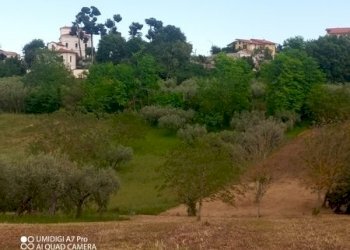 IMG_20230612_170816_040 (Copia).jpg - Terreno agricolo CONTRADA MARCIANESE, Lanciano - foto 12