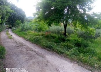 IMG_20230612_171241_810 (Copia).jpg - Terreno agricolo CONTRADA MARCIANESE, Lanciano - foto 15