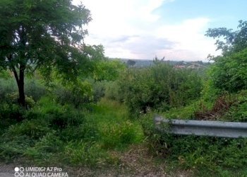 IMG_20230612_171244_251 (Copia).jpg - Terreno agricolo CONTRADA MARCIANESE, Lanciano - foto 16