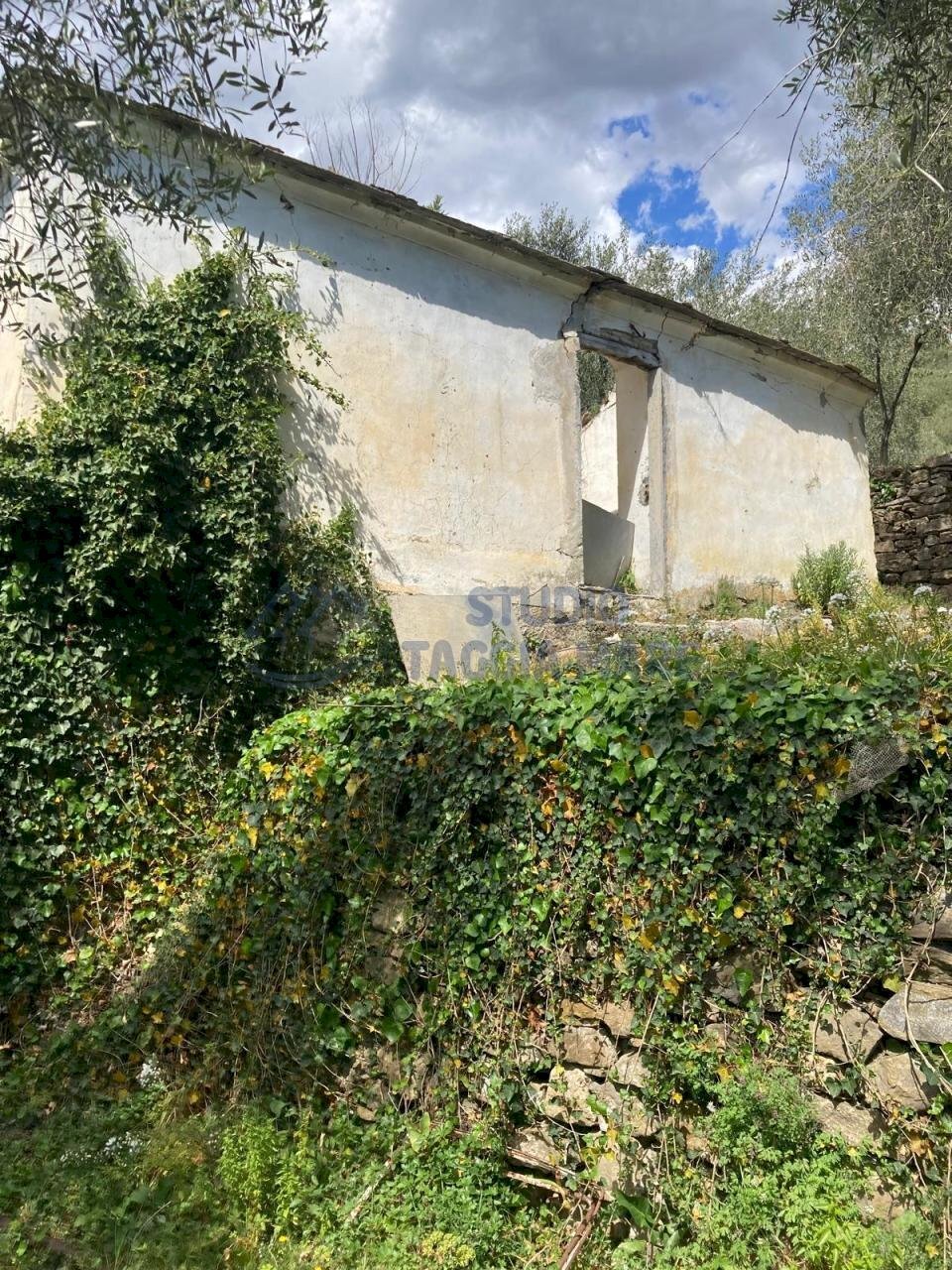 PHOTO-2024-10-07-14-04-40 2.jpg - Rustico Via Civezza, Civezza - foto 2