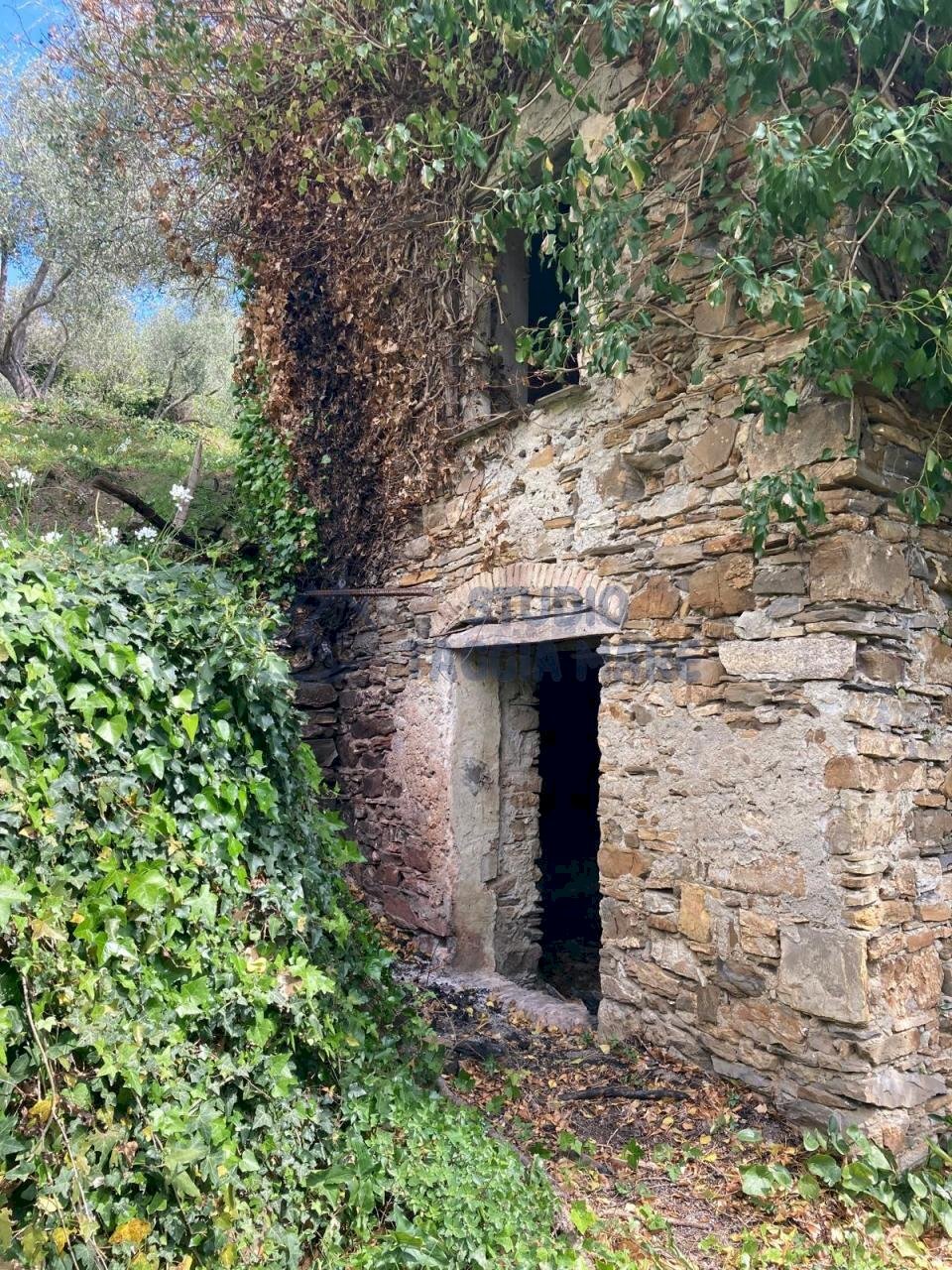 PHOTO-2024-10-07-14-04-49 6.jpg - Rustico Via Civezza, Civezza - foto 3