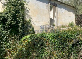 PHOTO-2024-10-07-14-04-40 2.jpg - Rustico Via Civezza, Civezza - foto 2