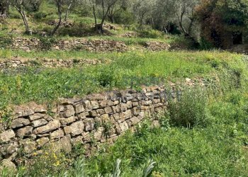 PHOTO-2024-10-07-14-04-50 2.jpg - Rustico Via Civezza, Civezza - foto 4