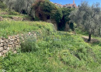 PHOTO-2024-10-07-14-04-50 3.jpg - Rustico Via Civezza, Civezza - foto 6