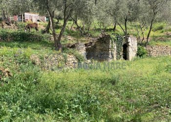 PHOTO-2024-10-07-14-04-31.jpg - Rustico Via Civezza, Civezza - foto 8