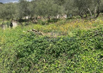 PHOTO-2024-10-07-14-04-48.jpg - Rustico Via Civezza, Civezza - foto 11