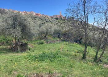 PHOTO-2024-10-07-14-04-49 2.jpg - Rustico Via Civezza, Civezza - foto 12