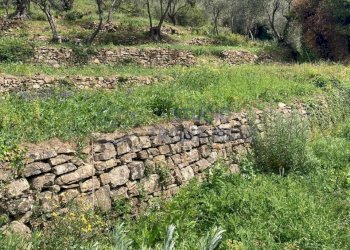 PHOTO-2024-10-07-14-04-49.jpg - Rustico Via Civezza, Civezza - foto 14